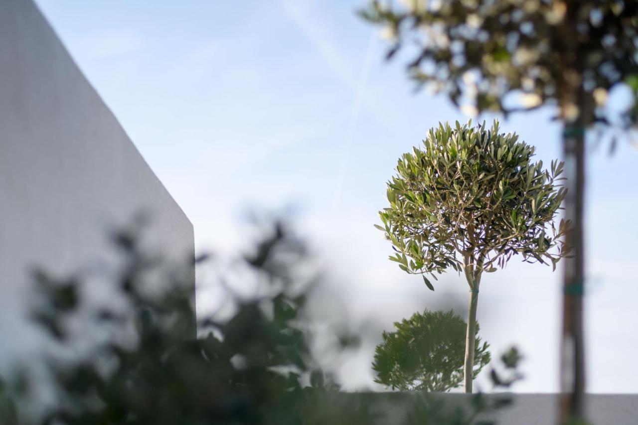 Potnia Theron Suites Ακρωτήρι Εξωτερικό φωτογραφία